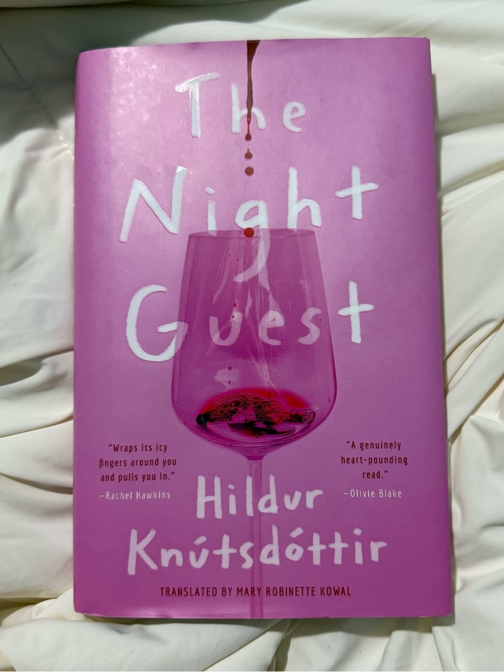 ‘The Night Guest’ by Hildur Knútsdóttir